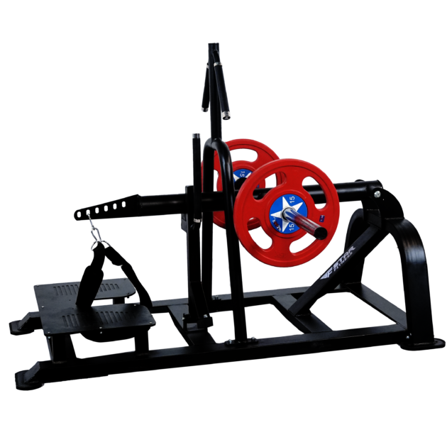 Belt Squat