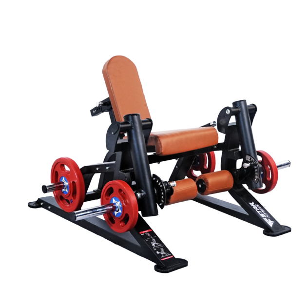 Leg Extension